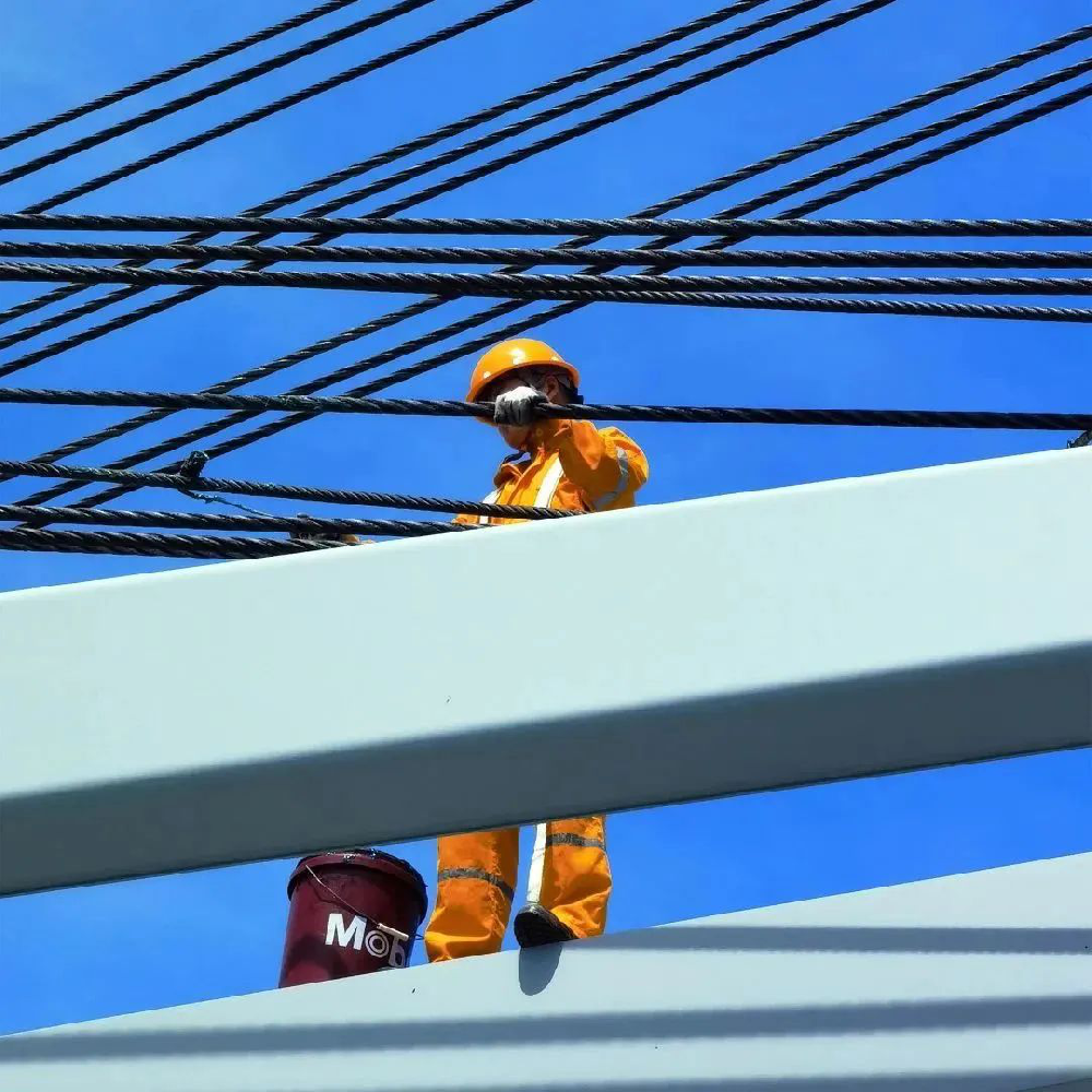 劈波斬浪的“大國海員”