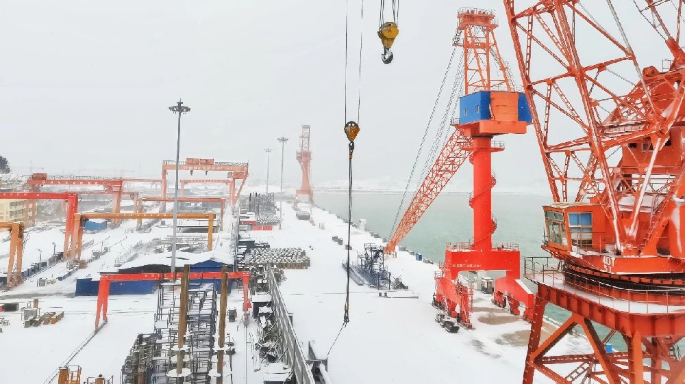 江蘇遠洋散貨公司：落實黨代會精神，以“硬舉措”賦能新程